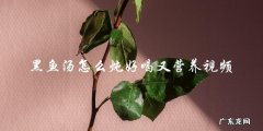 视频教程如何炖出美味营养的黑鱼汤