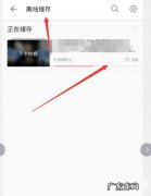 缓存是不是下载的意思