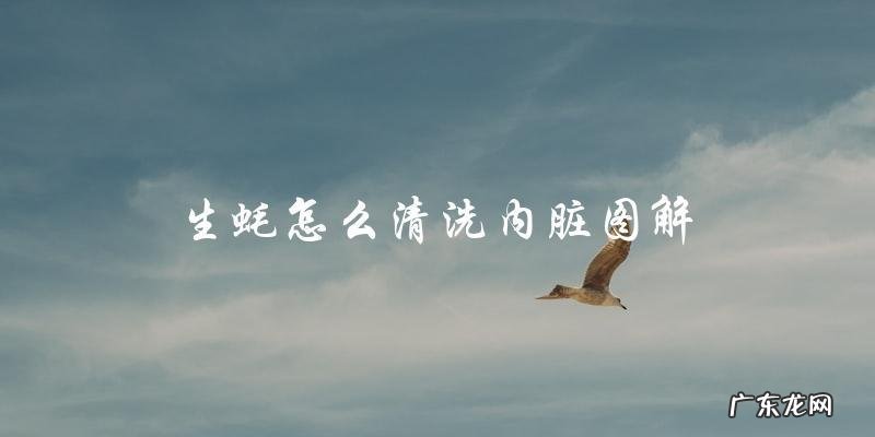 生蚝怎么清洗内脏图解