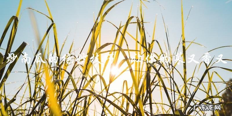 炒南瓜的绝妙技巧：让你的菜又香又好吃！
