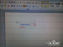 WORD中如何将不认识的字打出来呢