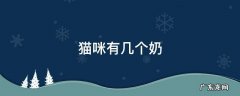 猫咪有几个奶 猫咪有几个奶变红是为什么