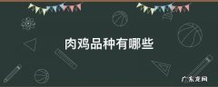 肉鸡品种有哪些 肉鸡品种有哪些882