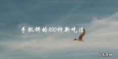 手抓饼的100种创新吃法，让你爱不释口！