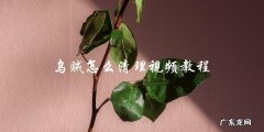 乌贼清理视频教程，教你如何轻松处理乌贼！
