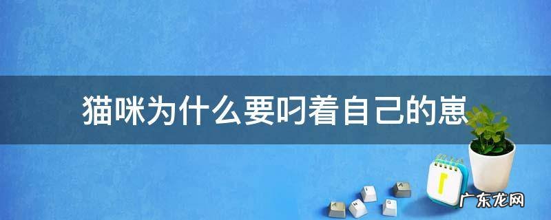 猫为什么叼崽儿出来 猫咪为什么要叼着自己的崽