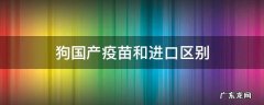 狗进口疫苗和国产的区别 狗国产疫苗和进口区别