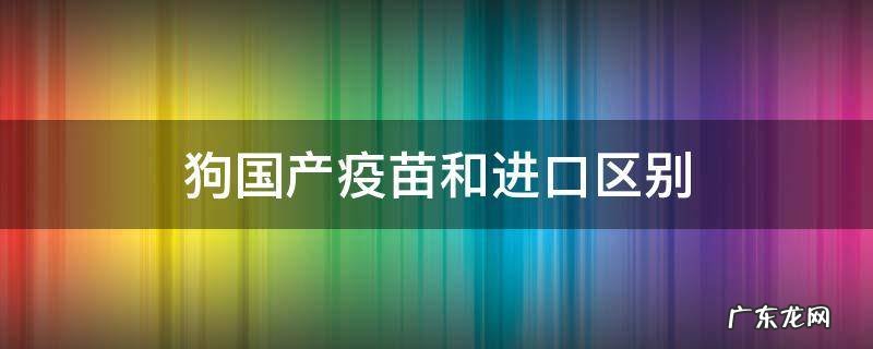 狗进口疫苗和国产的区别 狗国产疫苗和进口区别