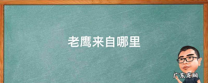 老鹰来自哪里 老鹰来自哪里用英语怎么说