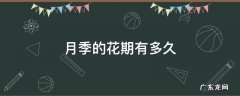 月季开多久花 月季的花期有多久