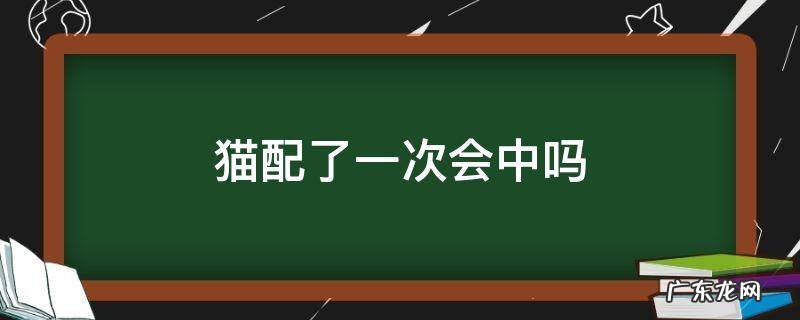猫配一次可以成功吗 猫配了一次会中吗