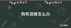 狗有泪痕怎么办 三个月狗狗有泪痕怎么办