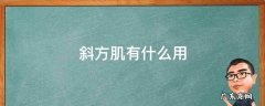 斜方肌有什么用 斜方肌可以