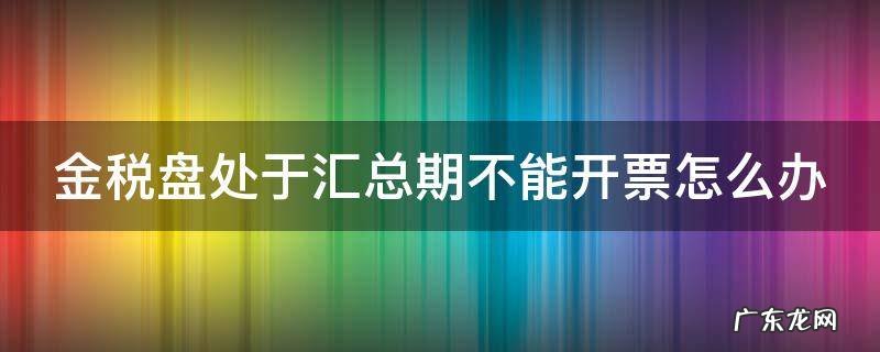 金税盘处于汇总期不能开票怎么办视频 金税盘处于汇总期不能开票怎么办