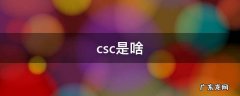csc是啥 CSC指的是