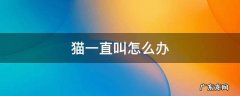 猫一直叫怎么办 猫一直叫怎么办叫了一晚上