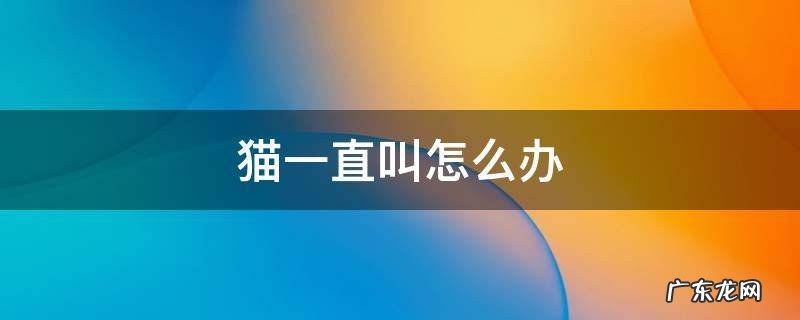 猫一直叫怎么办 猫一直叫怎么办叫了一晚上
