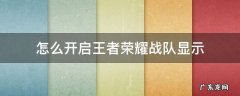 王者如何开启战队显示 怎么开启王者荣耀战队显示