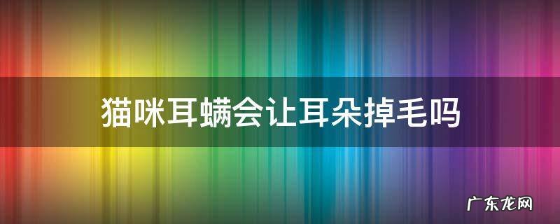 猫咪耳螨掉毛能长出吗 猫咪耳螨会让耳朵掉毛吗