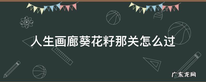 人生画廊葵花籽下一关 人生画廊葵花籽那关怎么过