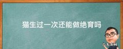 猫可以生一次之后绝育吗 猫生过一次还能做绝育吗