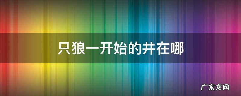 只狼一开始的井在哪 只狼一开始的井在哪里