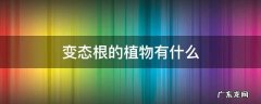 变态根的植物有什么 植物的根有什么什么和变态的什么