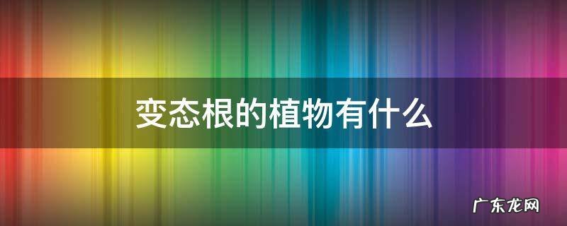 变态根的植物有什么 植物的根有什么什么和变态的什么