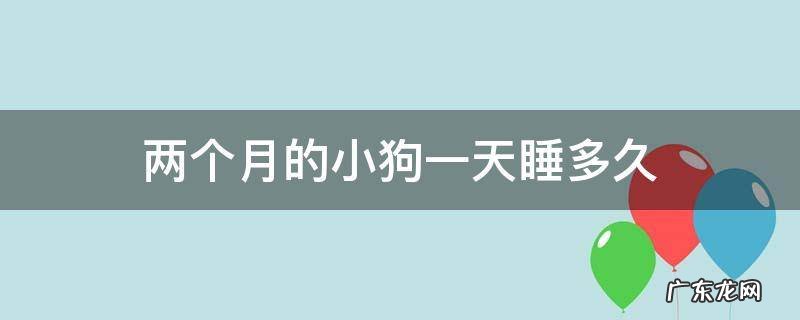 两个月的小狗一天睡多久是正常的 两个月的小狗一天睡多久