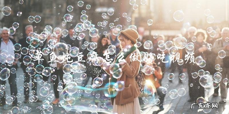 草鱼炖豆腐怎么做好吃视频