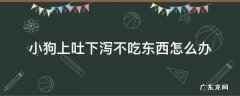 狗不吃东西上吐下泻是怎么回事 小狗上吐下泻不吃东西怎么办