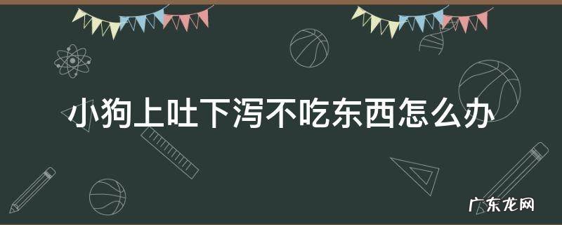 狗不吃东西上吐下泻是怎么回事 小狗上吐下泻不吃东西怎么办