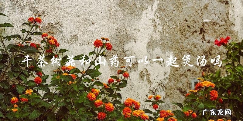 可以同时煲汤!干茶树菇和山药的完美搭配