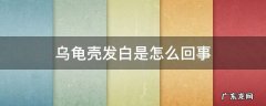 乌龟壳发白是怎么回事 乌龟壳发白是怎么回事长绿苔