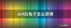 dnf白兔子怎么获得2021 dnf白兔子怎么获得