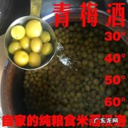 自酿的酒怎么寄