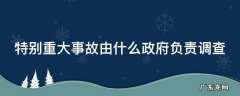 特别重大事故由什么政府负责调查 特别重大事故由哪级政府负责调查