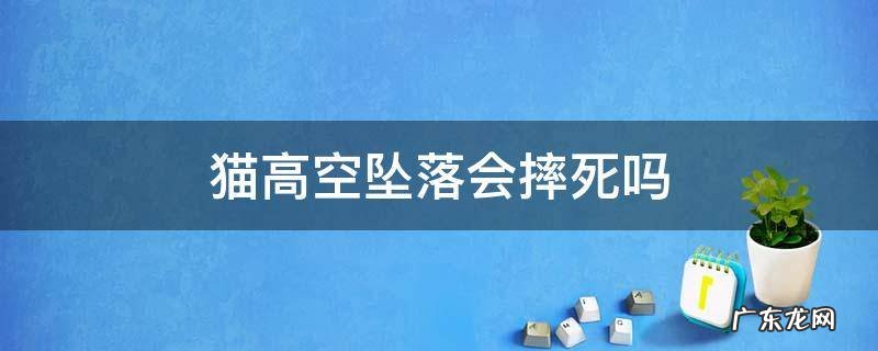 猫高空坠落会摔死吗 猫咪高空坠落会死亡吗
