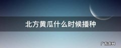 北方黄瓜什么时候播种 北方黄瓜什么时候育苗