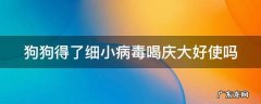 狗狗细小病毒用庆大霉素行吗 狗狗得了细小病毒喝庆大好使吗