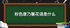 粉色康乃馨花语是什么 粉色康乃馨花的花语是什么