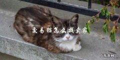 如何在交易猫上找到卖家？