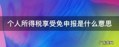 个人所得税享受免申报是什么意思 个人所得税享受免申报是啥意思