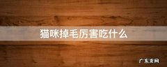 猫咪掉毛厉害吃什么 猫咪掉毛厉害吃什么比较好