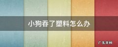 小狗吞了塑料怎么办 狗狗吞了塑料纸