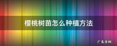 樱桃树苗的种植方法 樱桃树苗怎么种植方法
