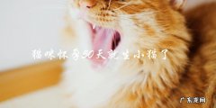 猫咪怀孕50天，是否可能提前生小猫？