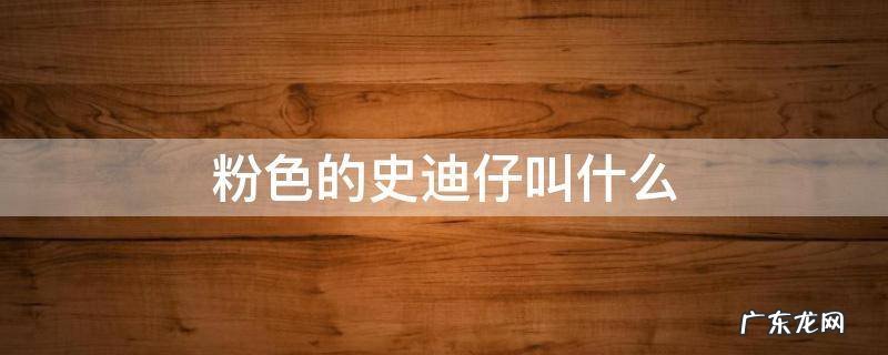 史迪仔和粉色史迪仔 粉色的史迪仔叫什么