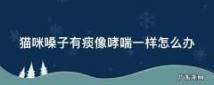 猫咪嗓子像有痰呼噜是怎么回事 猫咪嗓子有痰像哮喘一样怎么办