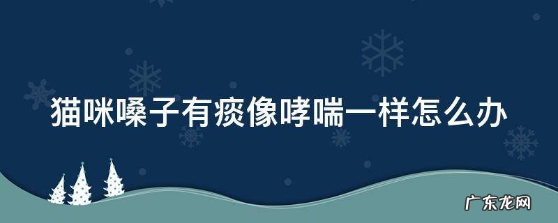 猫咪嗓子像有痰呼噜是怎么回事 猫咪嗓子有痰像哮喘一样怎么办
